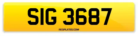 SIG 3687