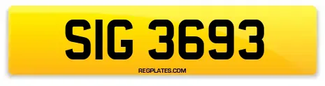 SIG 3693