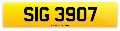 SIG 3907