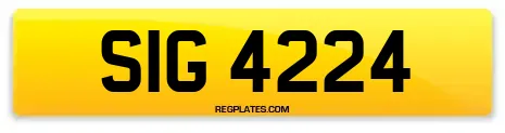 SIG 4224