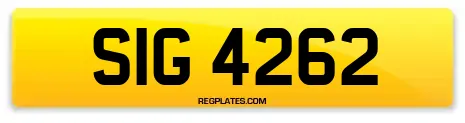 SIG 4262