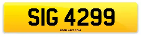 SIG 4299