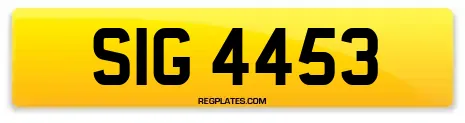 SIG 4453