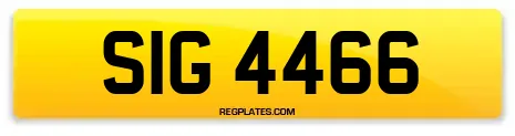 SIG 4466