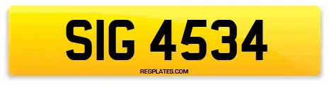 SIG 4534