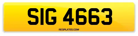 SIG 4663