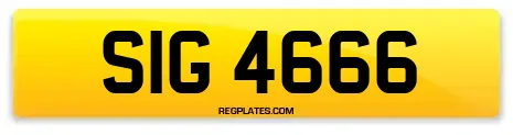 SIG 4666