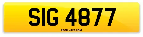SIG 4877