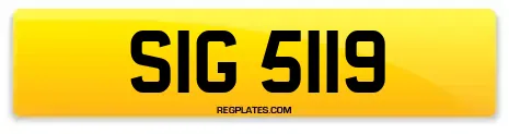 SIG 5119