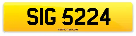 SIG 5224