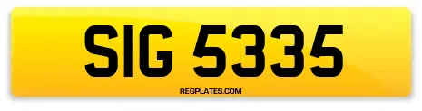 SIG 5335