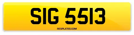 SIG 5513