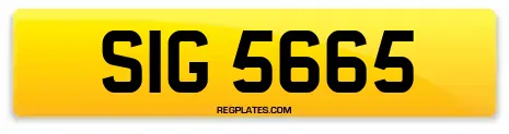 SIG 5665