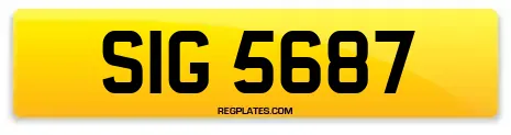 SIG 5687