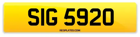 SIG 5920