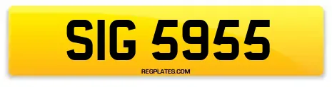 SIG 5955