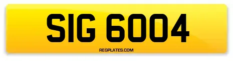 SIG 6004