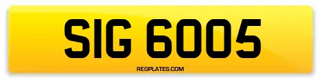 SIG 6005