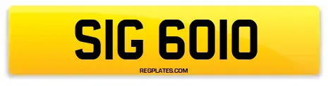 SIG 6010
