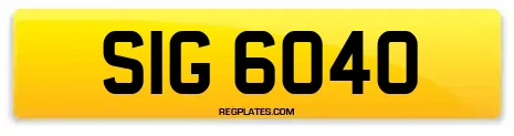 SIG 6040
