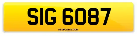 SIG 6087