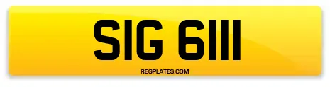 SIG 6111