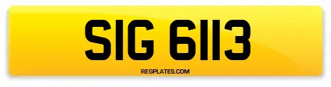 SIG 6113