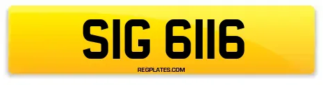 SIG 6116
