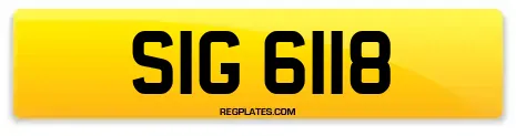 SIG 6118