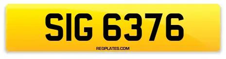 SIG 6376