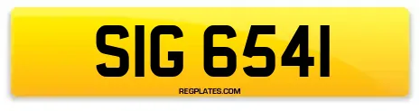 SIG 6541