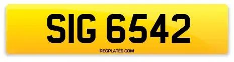 SIG 6542