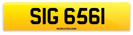 SIG 6561
