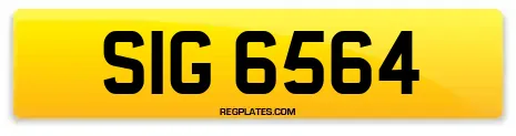 SIG 6564