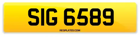 SIG 6589