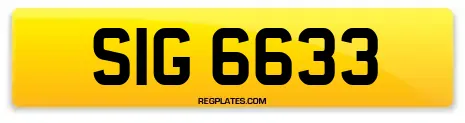 SIG 6633