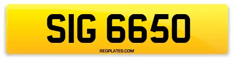 SIG 6650