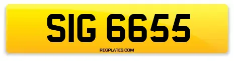 SIG 6655