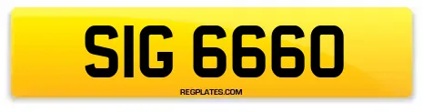 SIG 6660