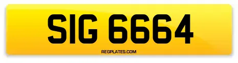 SIG 6664