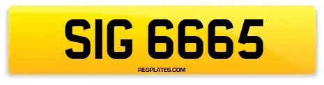 SIG 6665