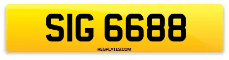 SIG 6688