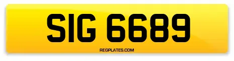 SIG 6689