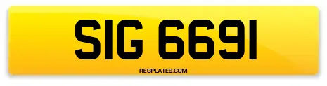 SIG 6691