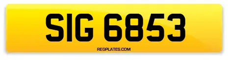SIG 6853