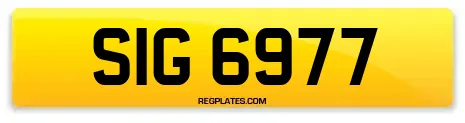 SIG 6977