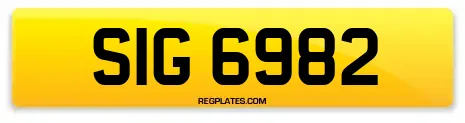 SIG 6982