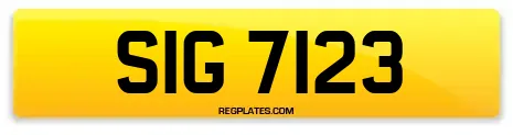 SIG 7123