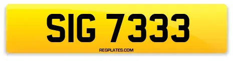 SIG 7333