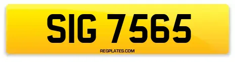 SIG 7565